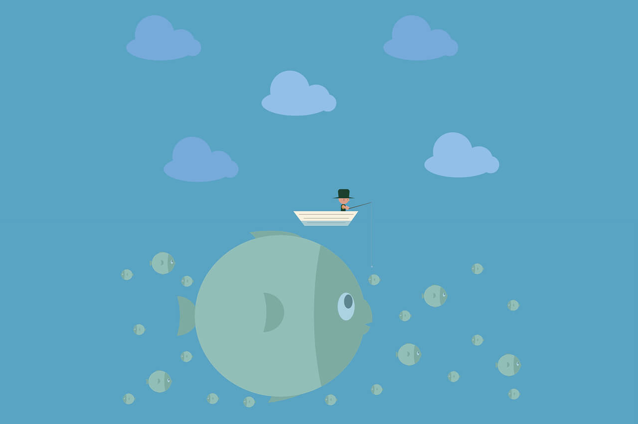 Typecho CustomFields插件